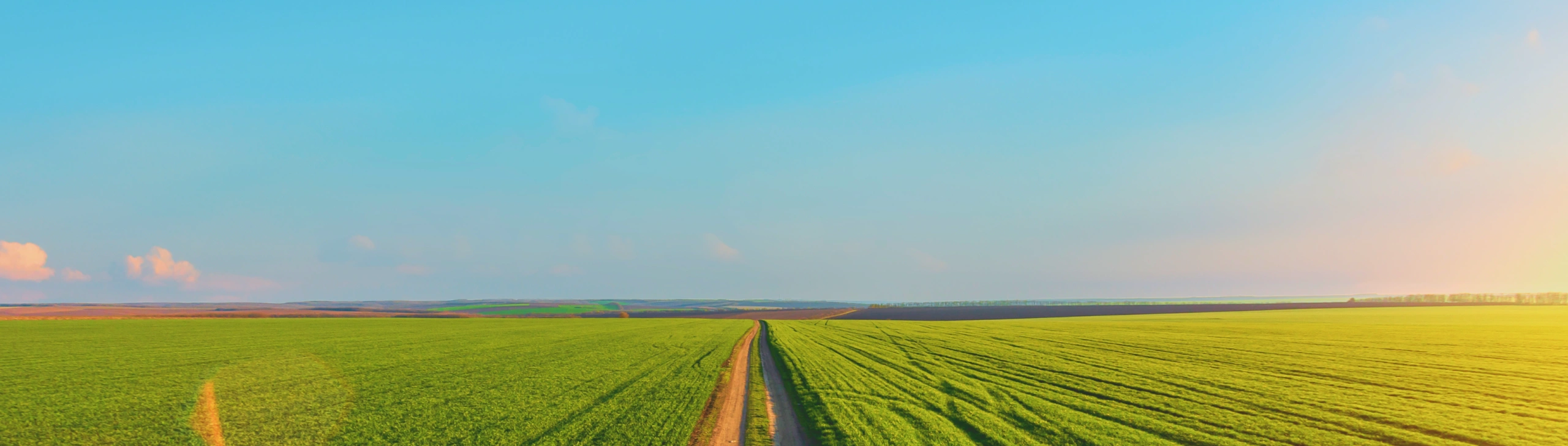 bg_sec_img_contact1_sctn1